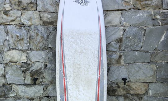 Alugue este BIC Surf Longboard em Levanto