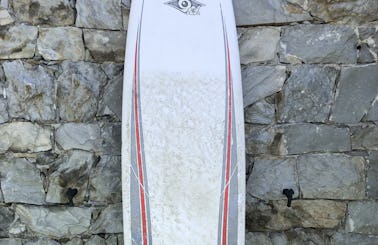 Rent this BIC Surf Longboard in Levanto