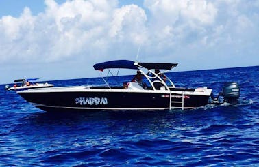 Tour Boat, Avanti 33 Motor Yacht, Swim with Whele Sharks, rays and turtles!