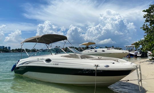 Experimente o Sea Ray de 26 pés em Miami!