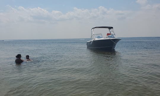 Louez un bateau à moteur Seahunt de 24 pieds dans le canton de Berkeley pour 6 personnes !