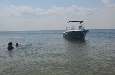 Charter 24' Seahunt Powerboat in Berkeley Township for 6 People!!