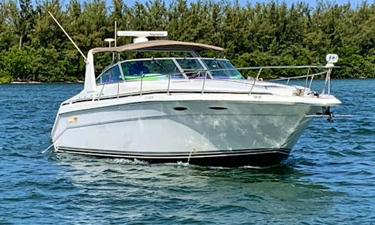 Sea Ray Sundancer 40’ Spacious Yacht for Charter in Miami