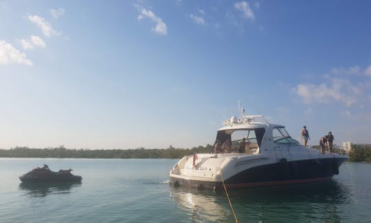 SeaRay Sundancer 60' en Aventura, Florida