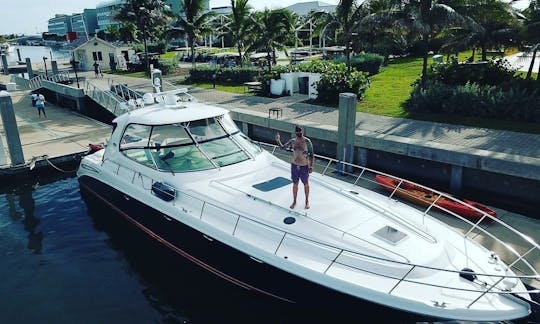 SeaRay Sundancer 60' en Aventura, Florida