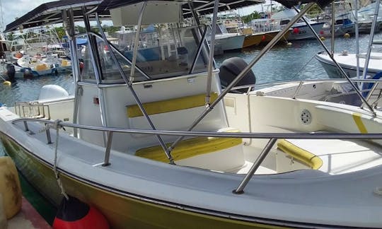 Fishing and Party Boat for up to 8 adults!