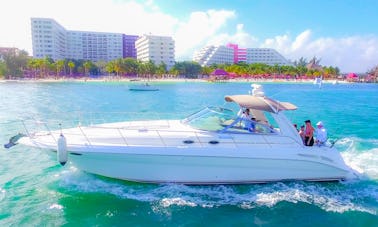 Sea Ray 410 Express Cruiser Private Yacht Rental for Groups Families in Cancún
