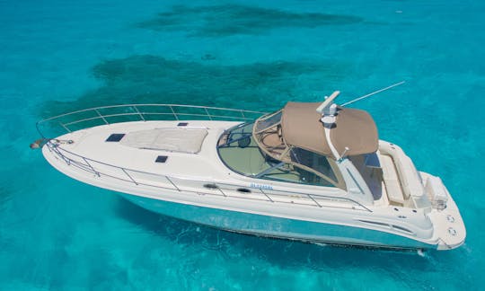 Aluguel de iate particular Sea Ray 410 Express Cruiser para grupos e famílias em Cancún