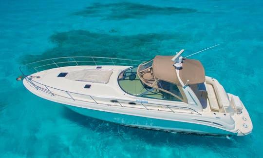 Luxury Sea Ray 410 Express Cruiser Private Yacht Rental for Groups, Families up to 15 Pax in Cancún, Quintana Roo