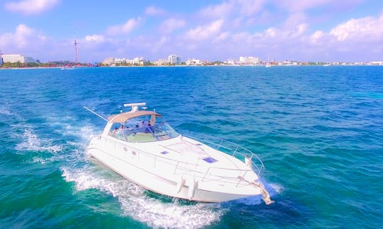 Aluguel de iate particular Sea Ray 410 Express Cruiser para grupos e famílias em Cancún