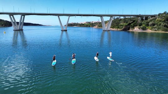 Visitas guiadas de stand up paddle por el río Mira