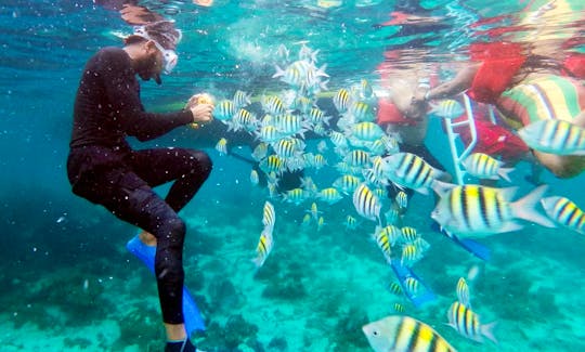 Swimming with fish negril lux yacht rental