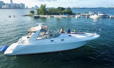 Le Sea Ray Sundancer de 42 minutes est prêt à faire une croisière à Miami Beach, en Floride, sans frais cachés !