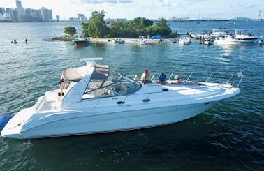 42' Sea Ray Sundancer Ready to Cruise in Miami Beach,fl