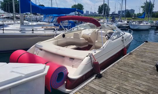 27' Chris Craft Playpen Bound with Water Toys USCG Master Captain Provided