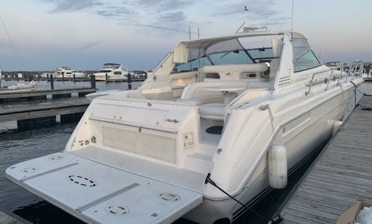 Aproveite o sol com a família ou amigos em um SeaRay Sundancer de 58 pés