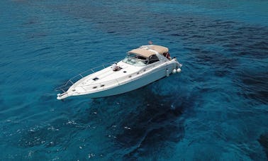 Magnifique yacht - Searay 450 Sundancer à Playa del Carmen