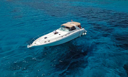 Beautiful Yacht - Searay 450 Sundancer in Playa del Carmen