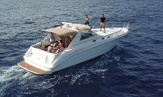 Beautiful Yacht - Searay 450 Sundancer in Playa del Carmen