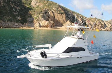 Fishing Charter on 31ft Sport Fisherman in Cabo San Lucas, Baja California Sur