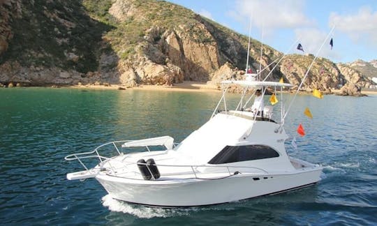 Fishing Charter on 31ft Sport Fisherman in Cabo San Lucas, Baja California Sur