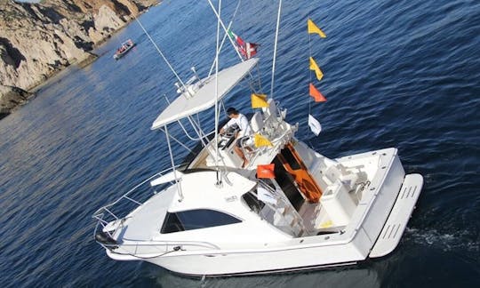 Fishing Charter on 31ft Sport Fisherman in Cabo San Lucas, Baja California Sur