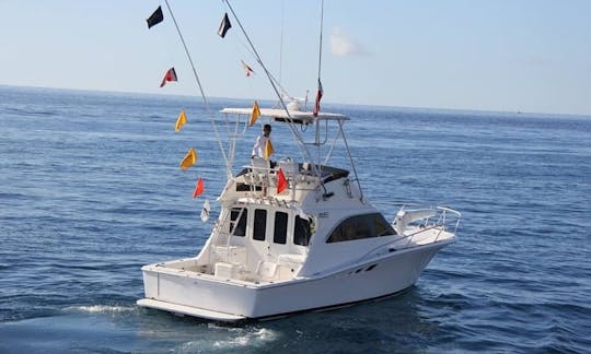 Fishing Charter on 31ft Sport Fisherman in Cabo San Lucas, Baja California Sur