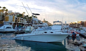 Enjoy a Guided Boat Tour around Cabo San Lucas on a Motor Yacht