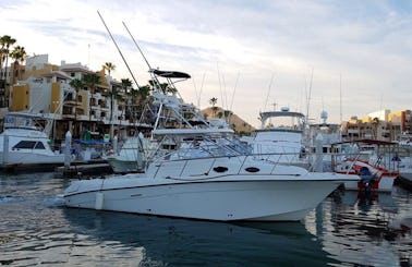 Enjoy a Guided Boat Tour around Cabo San Lucas on a Motor Yacht