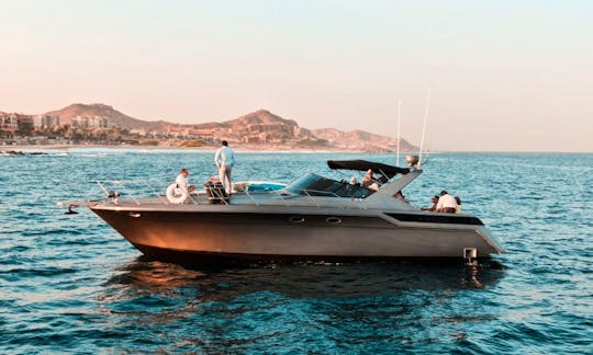 All inclusive. Private 46ft yacht cruise in Cabo San Lucas. 