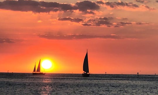 2 to 2 1/2 hr. Public Sunset Sailing Excursions from St. Pete Beach, Florida!