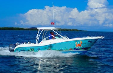 Book your private stingray, snorkel, starfish and bioluminescent adventure today!