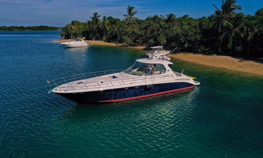 Searay Sundancer 60¨ in North Miami Beach, Florida