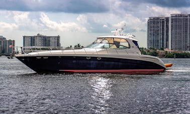 Searay Sundancer 60¨ in North Miami Beach, Florida