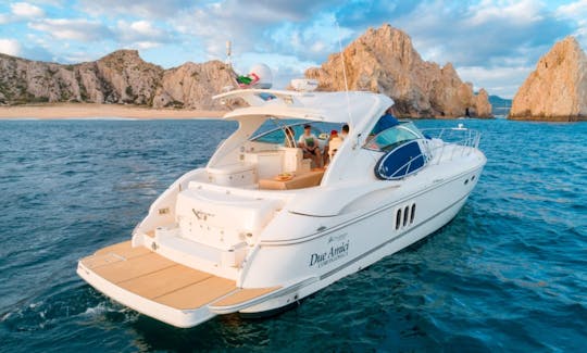 Charter 54' Cruiser Epress Power Mega Yacht in Baja California Sur, Mexico