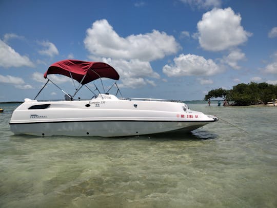 Barco a motor Chaparral de 23 pés com capa Bimini para aluguel diário