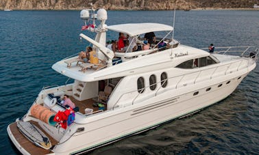 Charter 70ft Viking Power Mega Yacht in Baja California Sur, Mexico