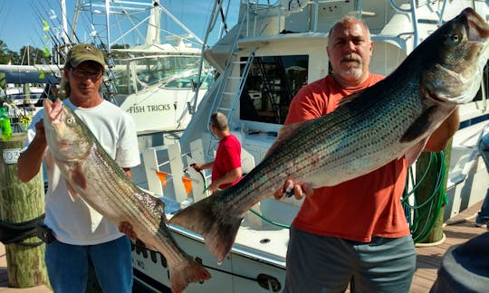 Captained Fishing Trips in Chesapeake Beach, Maryland