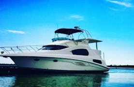 44' Ultra Luxury Silverton Hi Performance Motor Yacht Rental in Destin, Fl