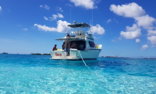 Charter the 42ft Hattras Motor Yacht in Oranjestad, Aruba