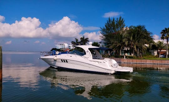 Sea Ray Sundancer  Motor Yacht Rental in Cancún, Quintana Roo
