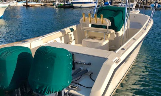 Perfect Fishing Boat in San Jose Del Cabo For a Great Price!