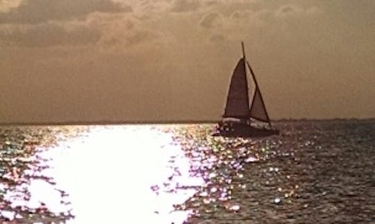 Catamarã à vela Wildcat 350 para alugar em Punta Sam, Cancún