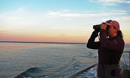 Bay Of Fundy Scenic Lobster Tours - um barco de passeio de lagosta de 43 pés em Digby, Canadá