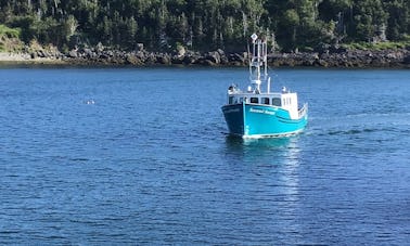 Bay Of Fundy Scenic Lobster Tours - a 43 ft Lobster tour  Boat in Digby, Canada