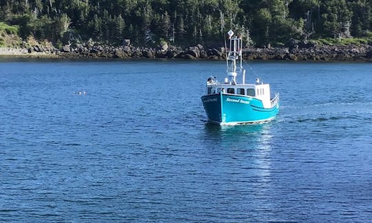 Bay Of Fundy Scenic Lobster Tours - a 43 ft Lobster tour  Boat in Digby, Canada