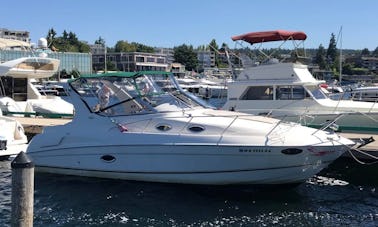 Reserve un yate a motor con cabina RGM 2000 con capitán en Kirkland