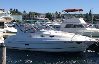 Book RGM 2000 Cabin Motor Yacht with a Captain in Kirkland