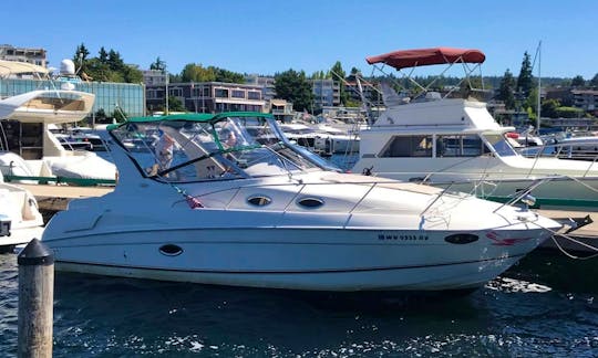 Book RGM 2000 Cabin Motor Yacht with a Captain in Kirkland