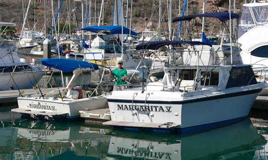 Charter the Beautiful Yacht in San Carlos, Sonora